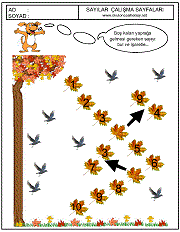 sıradaki sayı kaçtır